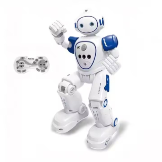 Smart robot